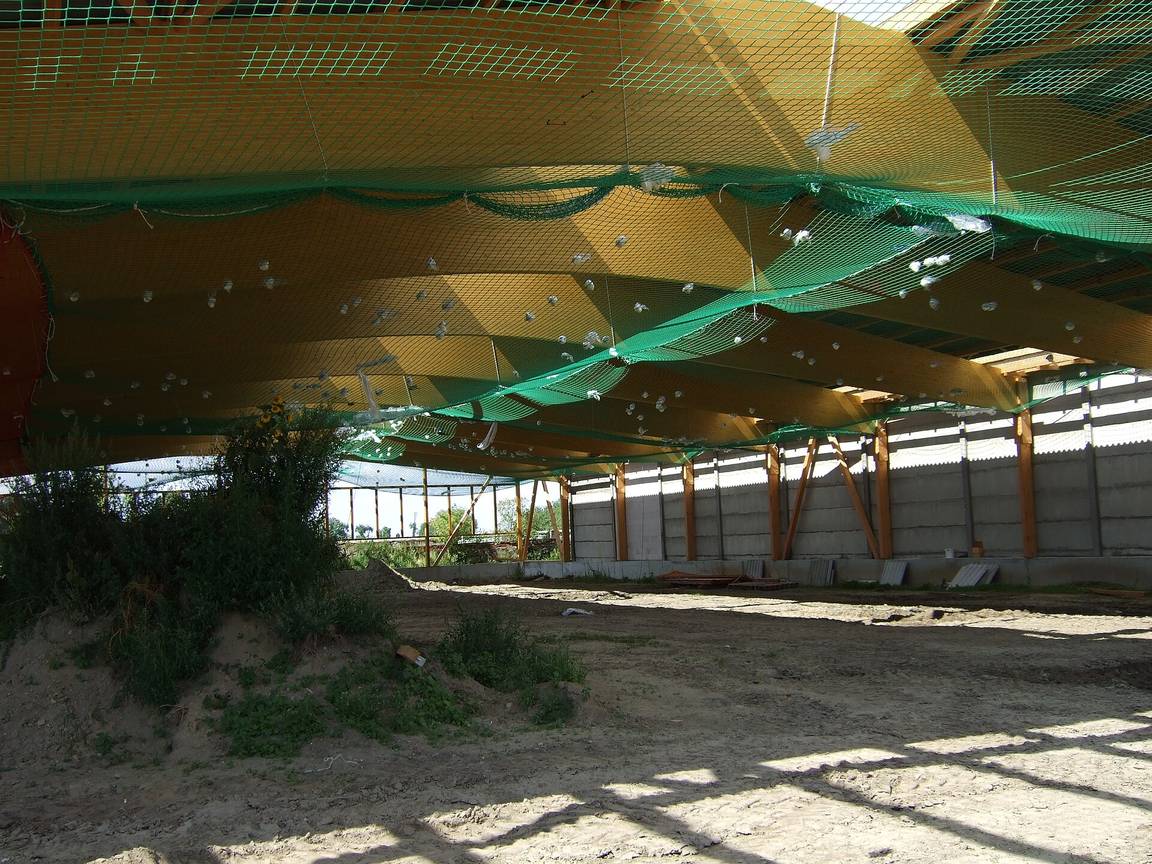 Close view of a timber house frame under construction, showing the roof structure from below
