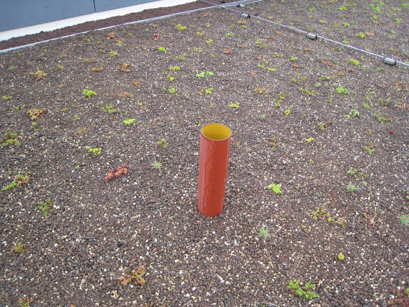 A planted green roof on a large institutional building