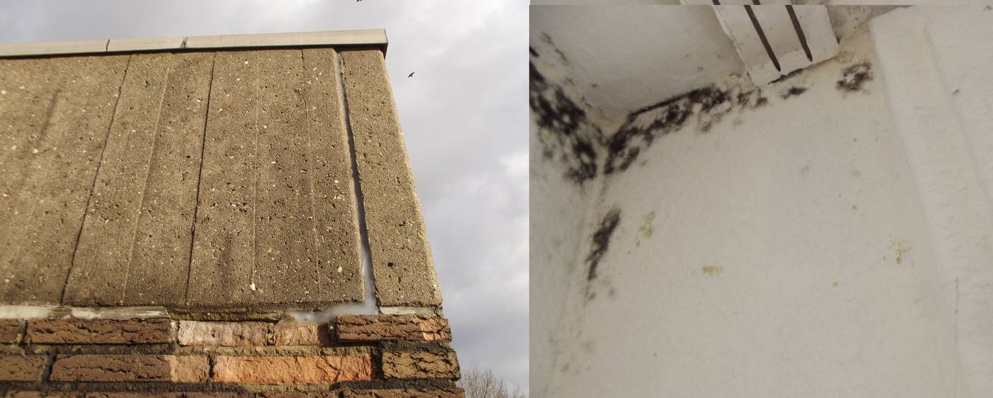 Mould growth in the corner of a room, seen from inside and outside — condensation's visible signature