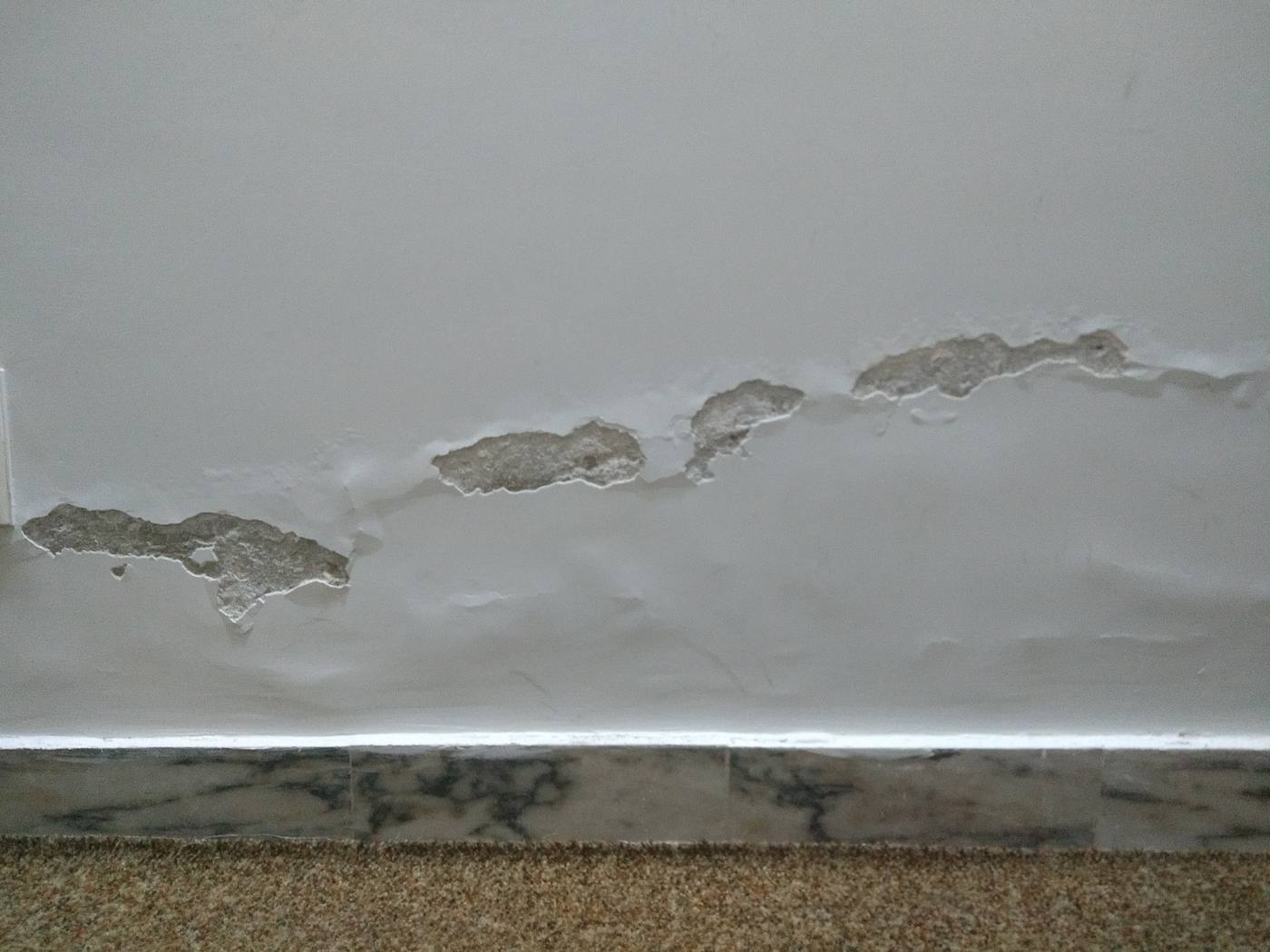 Rising damp on an internal wall — groundwater wicking up through masonry