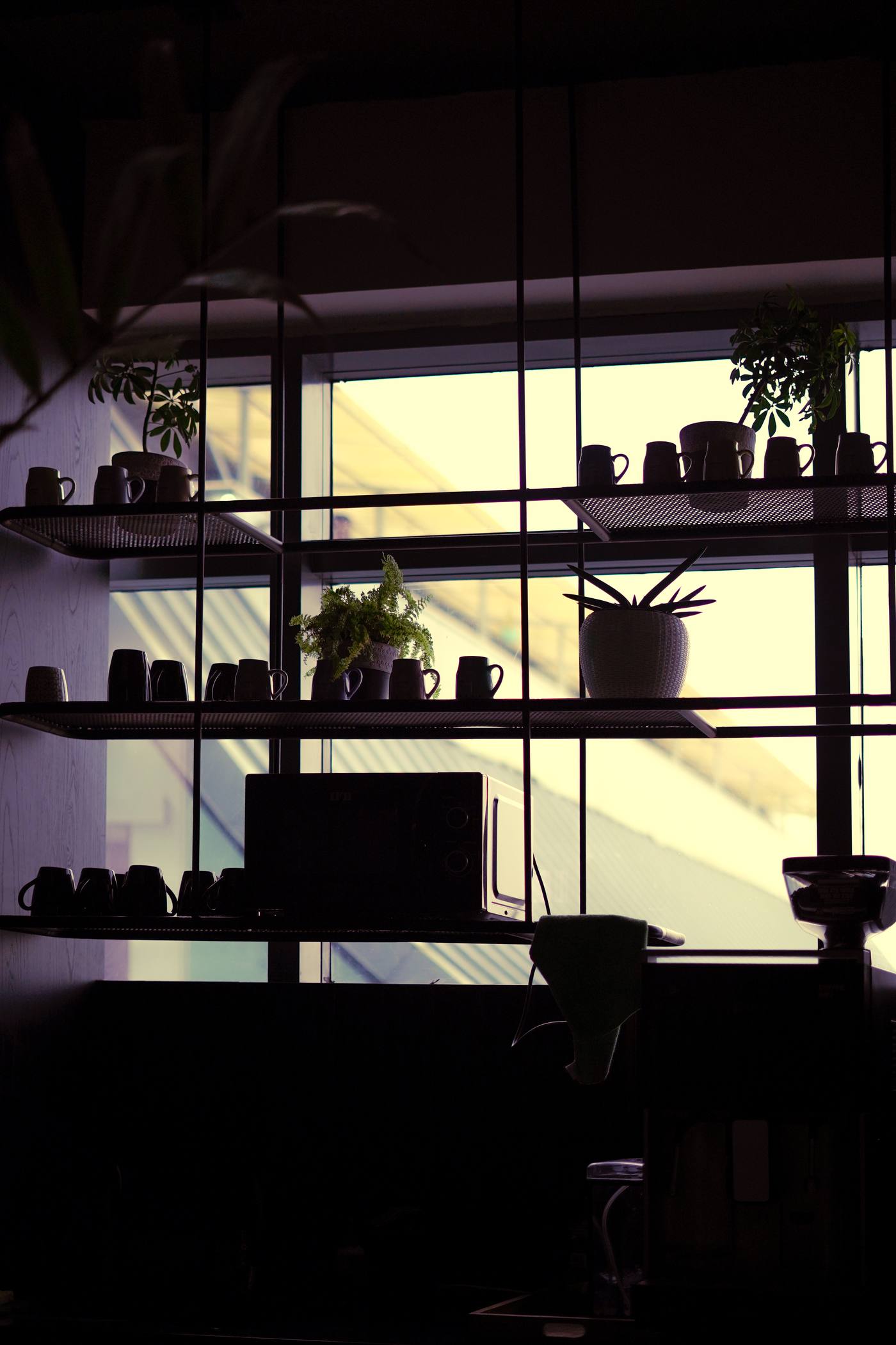 A kitchen arranged for light and daily use — cooking zone, social zone and storage in balance