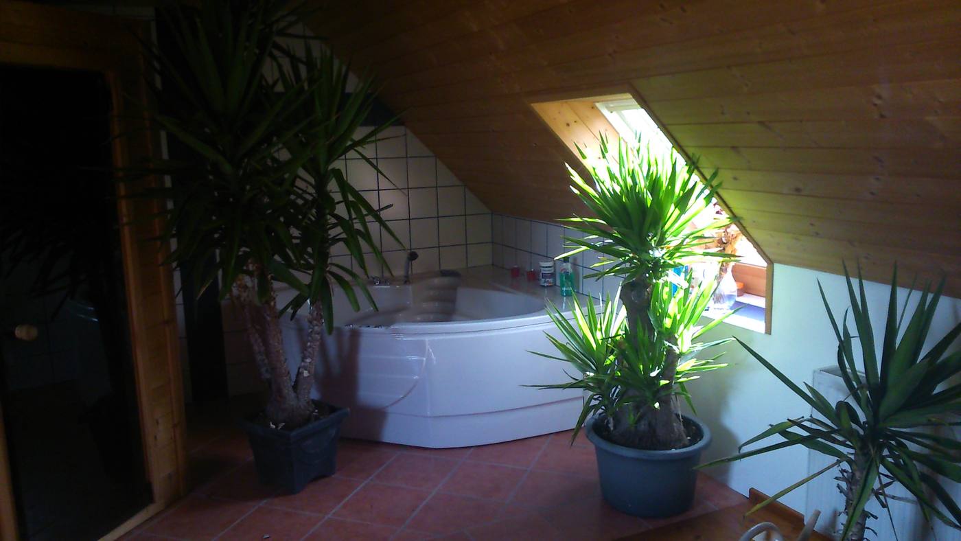 A bathroom with wall-hung fittings and an uninterrupted floor line beneath them
