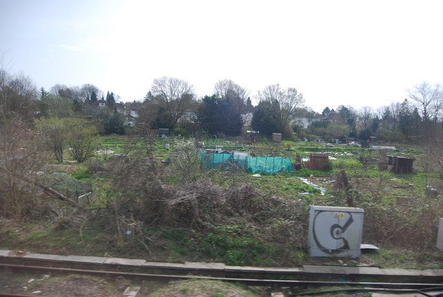 Community allotment gardens in Coulsdon, London