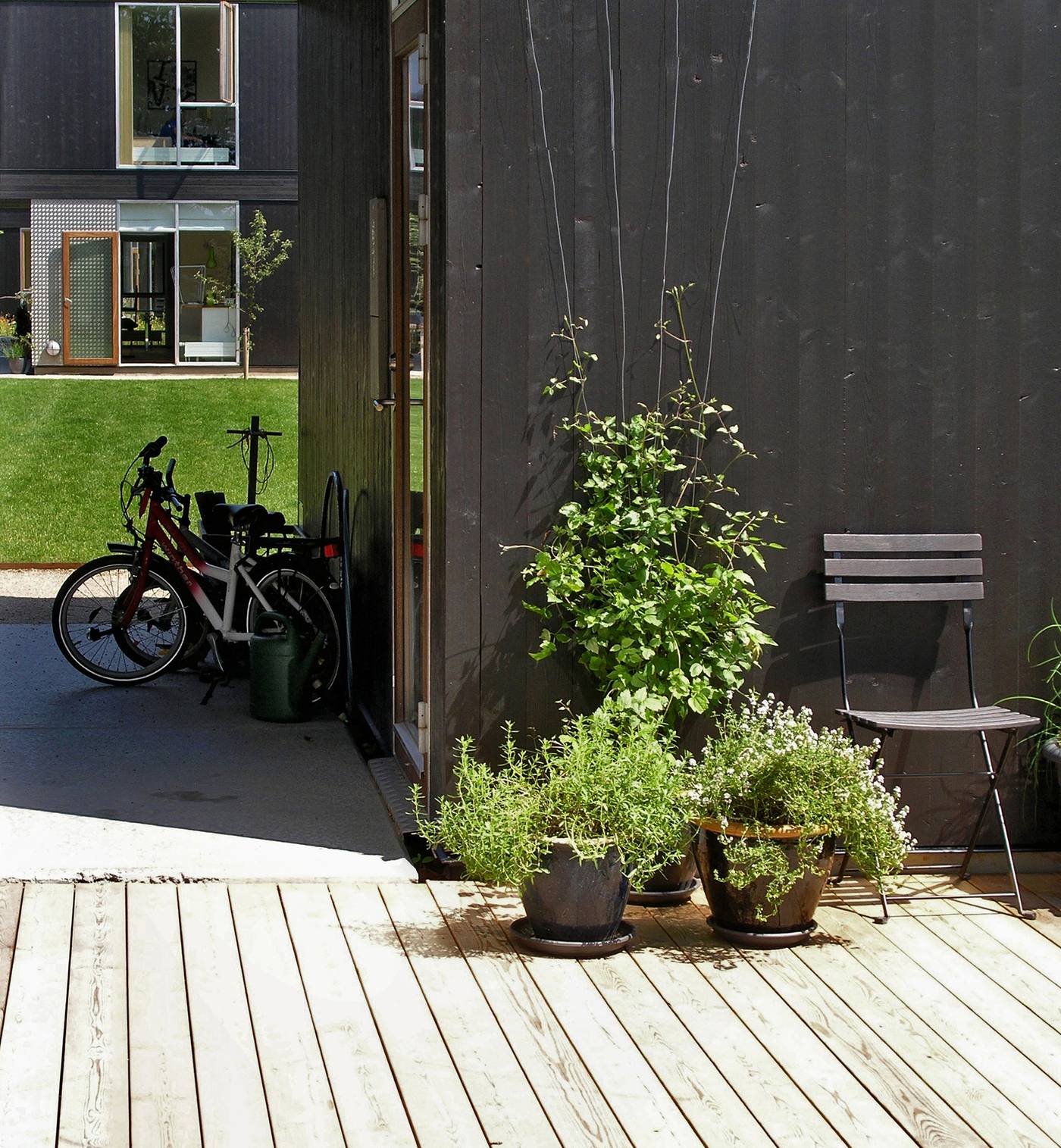 Green communal courtyard shared by nine low-cost houses in Elsinore, Denmark, seen from a private patio