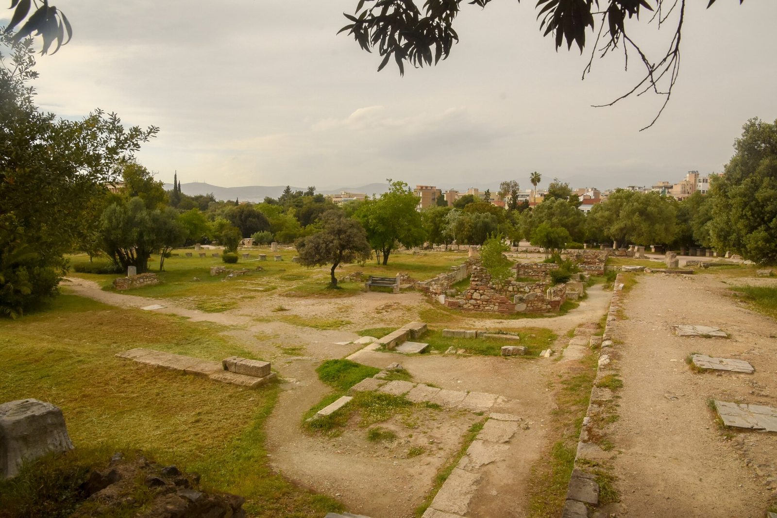 The open ground of the Ancient Agora of Athens, its paths and foundations among the trees