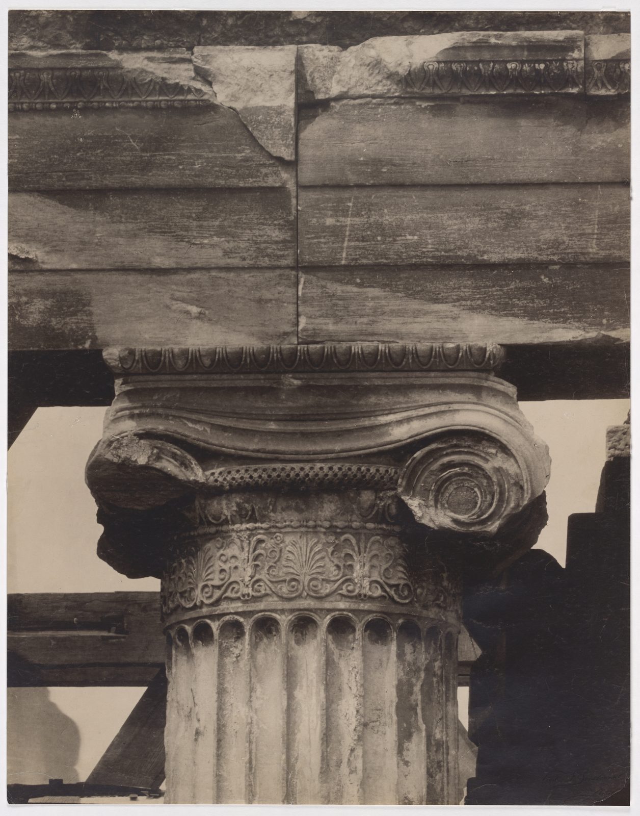 A historic photograph of an Ionic capital of the Erechtheion, its volutes and egg-and-dart