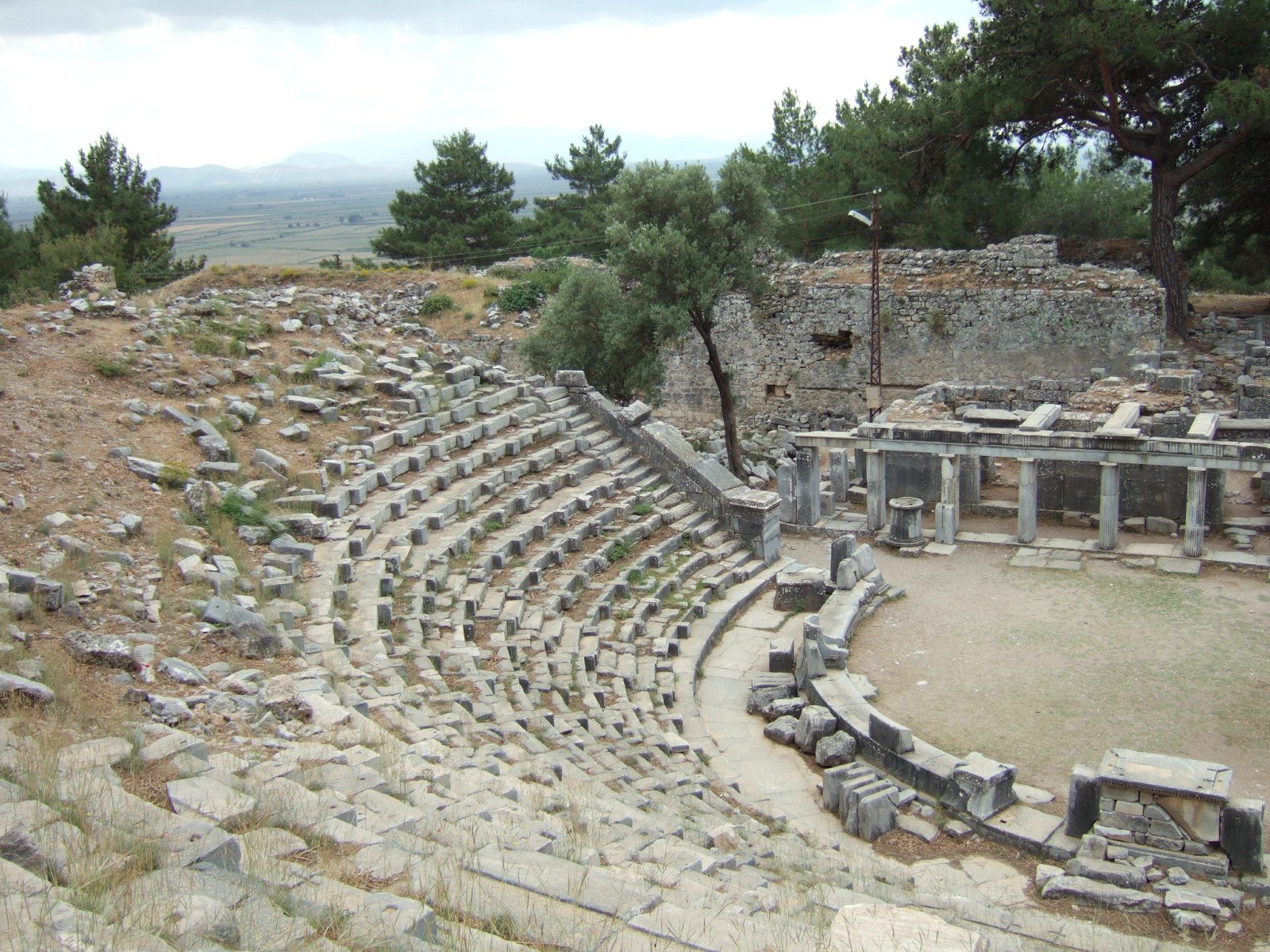 The theatre at Priene, its seats and stage buildings among the pines