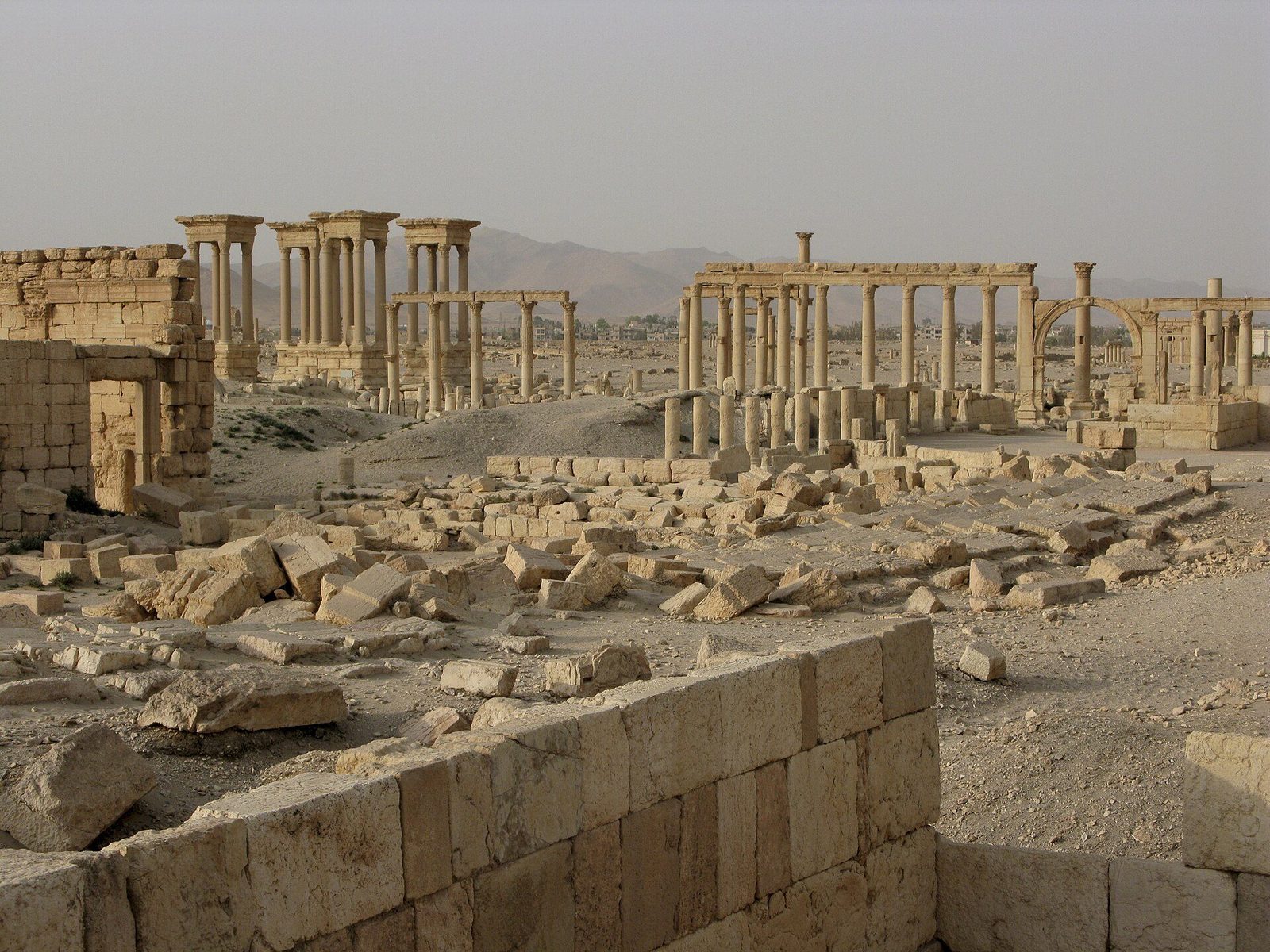 The Great Colonnade of Palmyra in Syria, photographed in 2008: long rows of standing columns and fallen blocks across the desert ruins