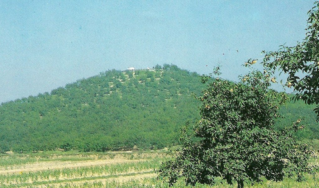 The wooded burial mound of the First Qin Emperor seen across fields, in a 1987 photograph
