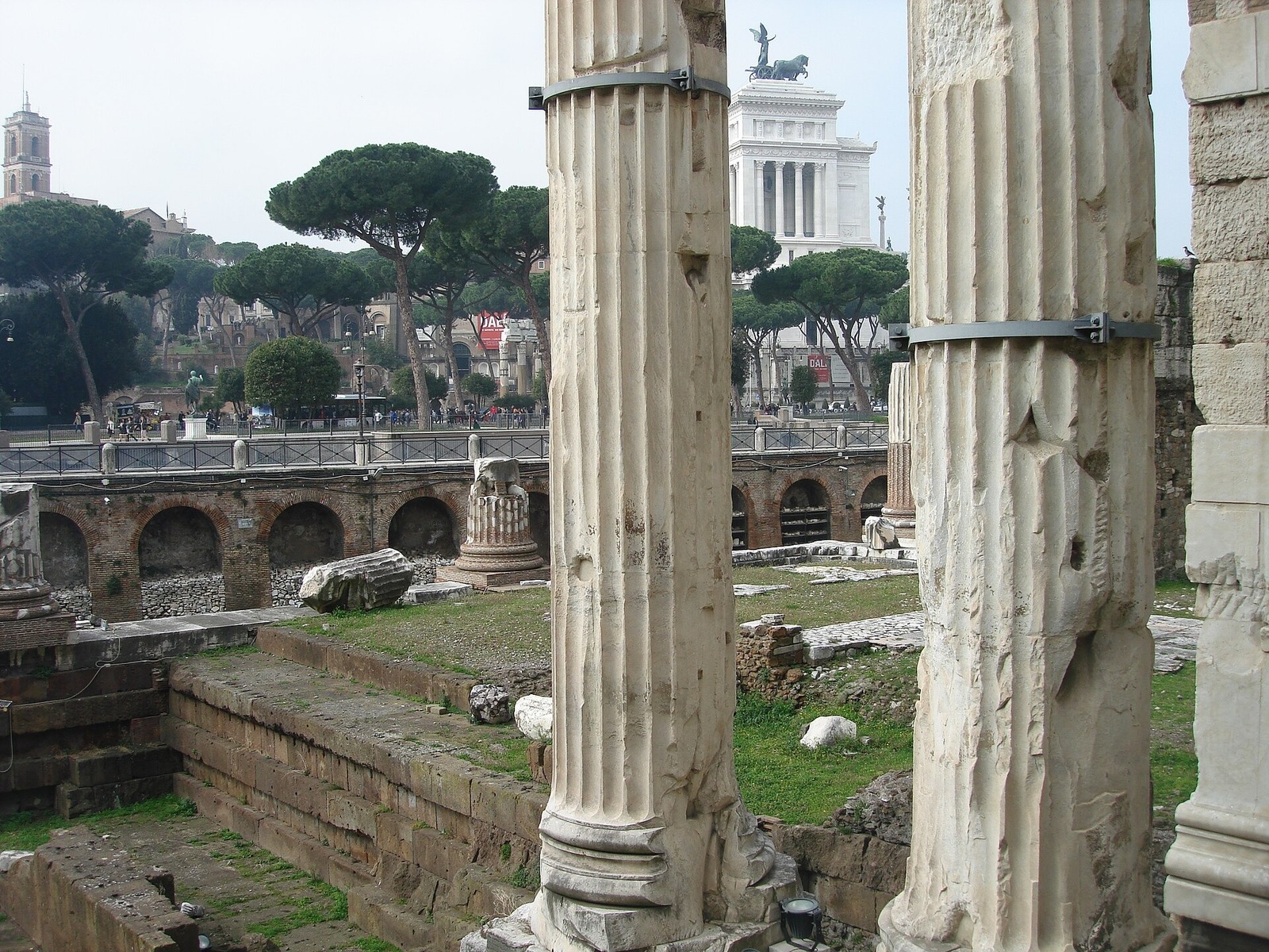 The columns of the Temple of Mars Ultor in the Forum of Augustus, Rome