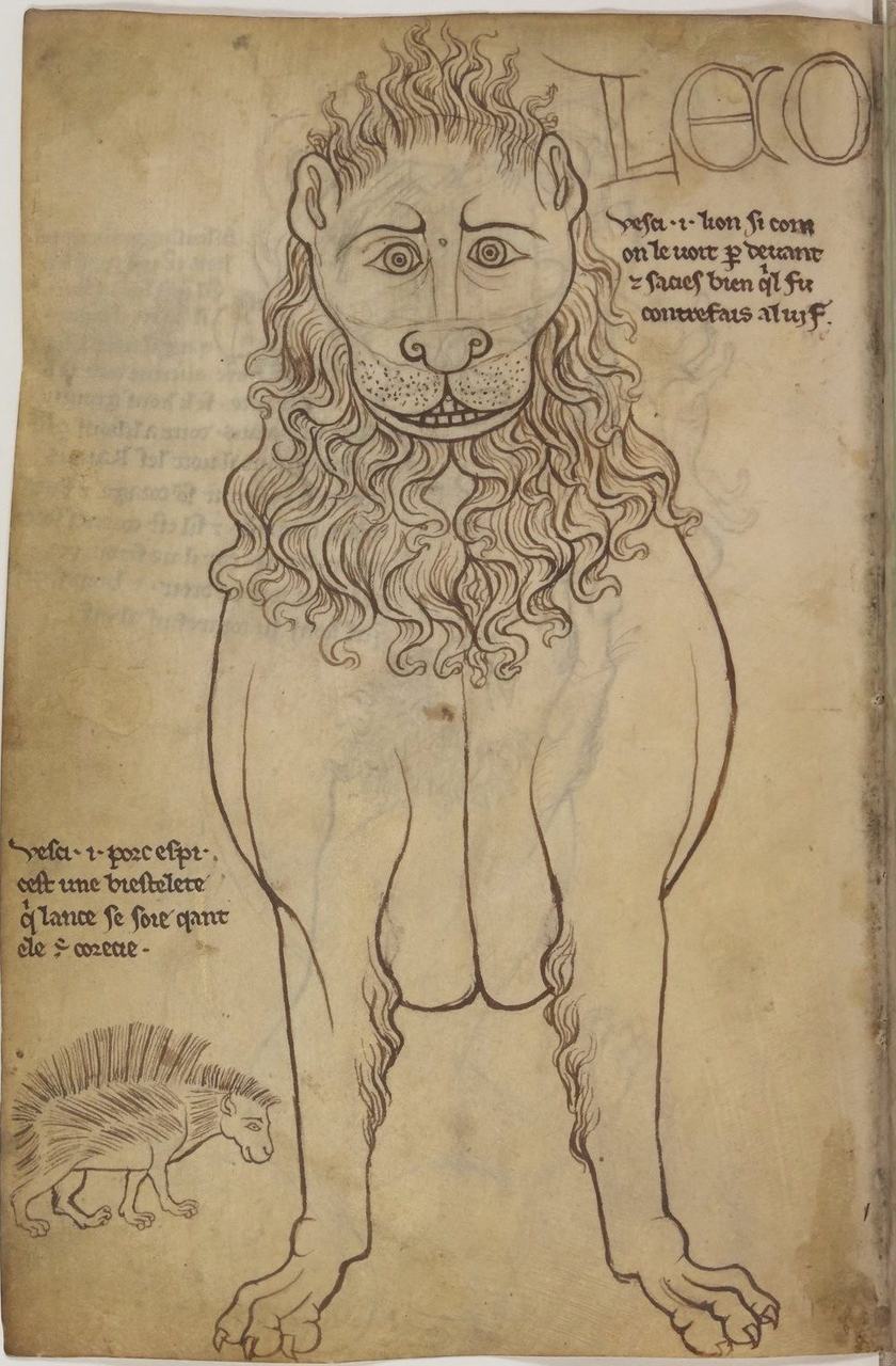 A folio from Villard de Honnecourt's portfolio: a lion drawn from life, with a small porcupine below
