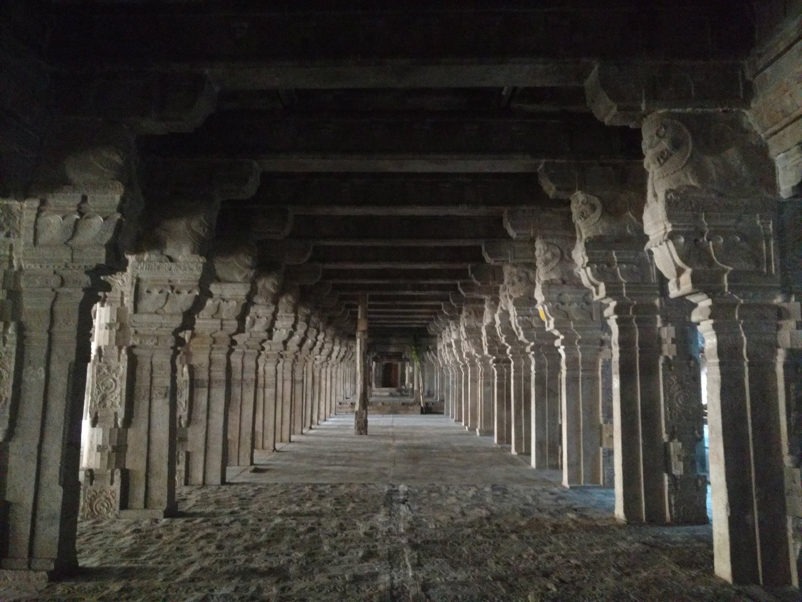 The thousand-pillared hall at Meenakshi Temple, Madurai, rows of carved pillars receding into the dark