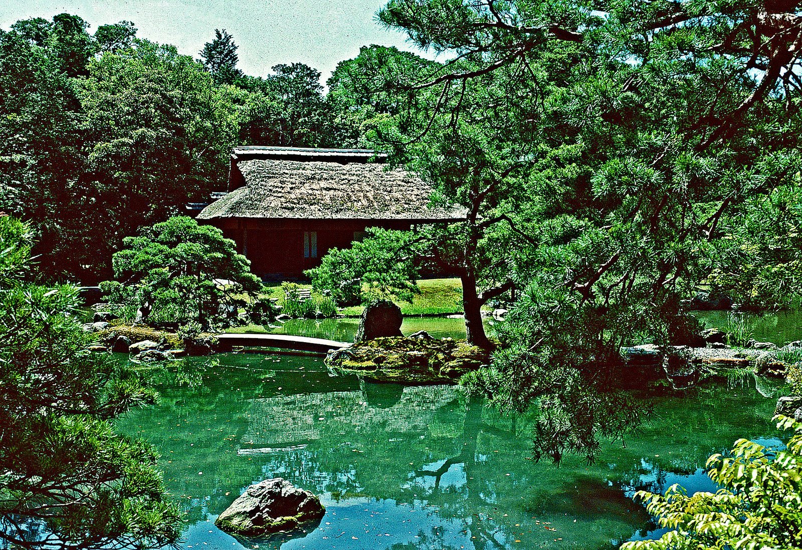 The stroll garden at Katsura Imperial Villa in Kyoto, its pond, pines and a thatched tea house