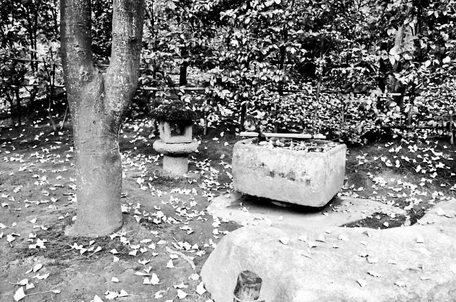 A stone water basin among trees in the garden at Katsura Imperial Villa