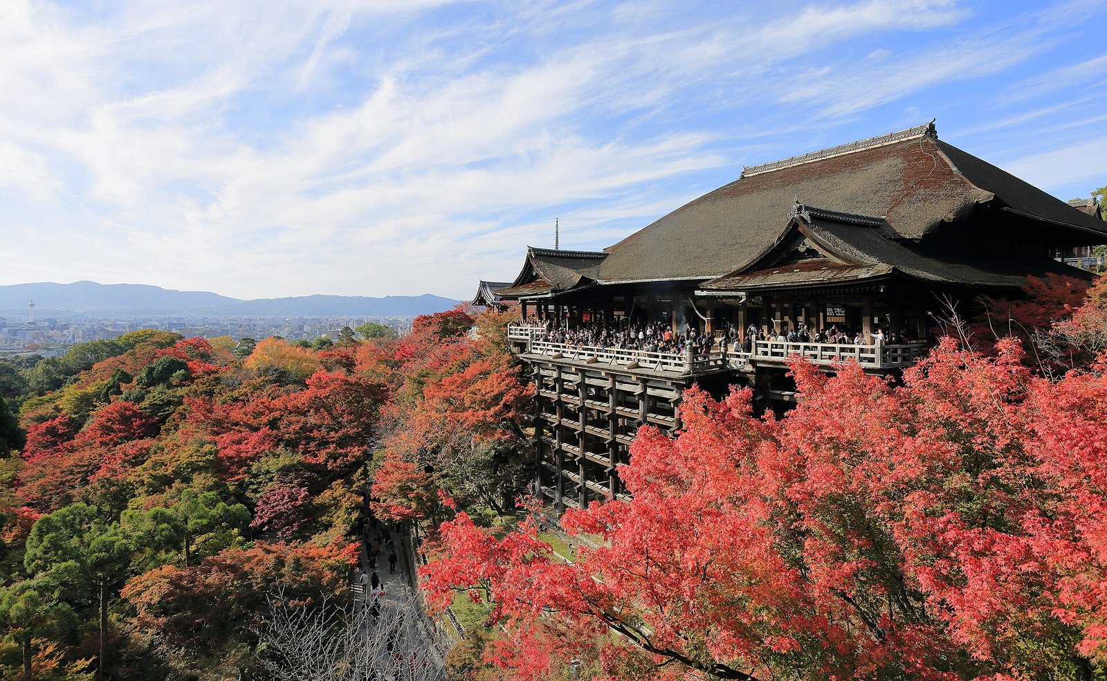 The stage of Kiyomizu-dera in Kyoto, its timber structure over the hillside among autumn maples