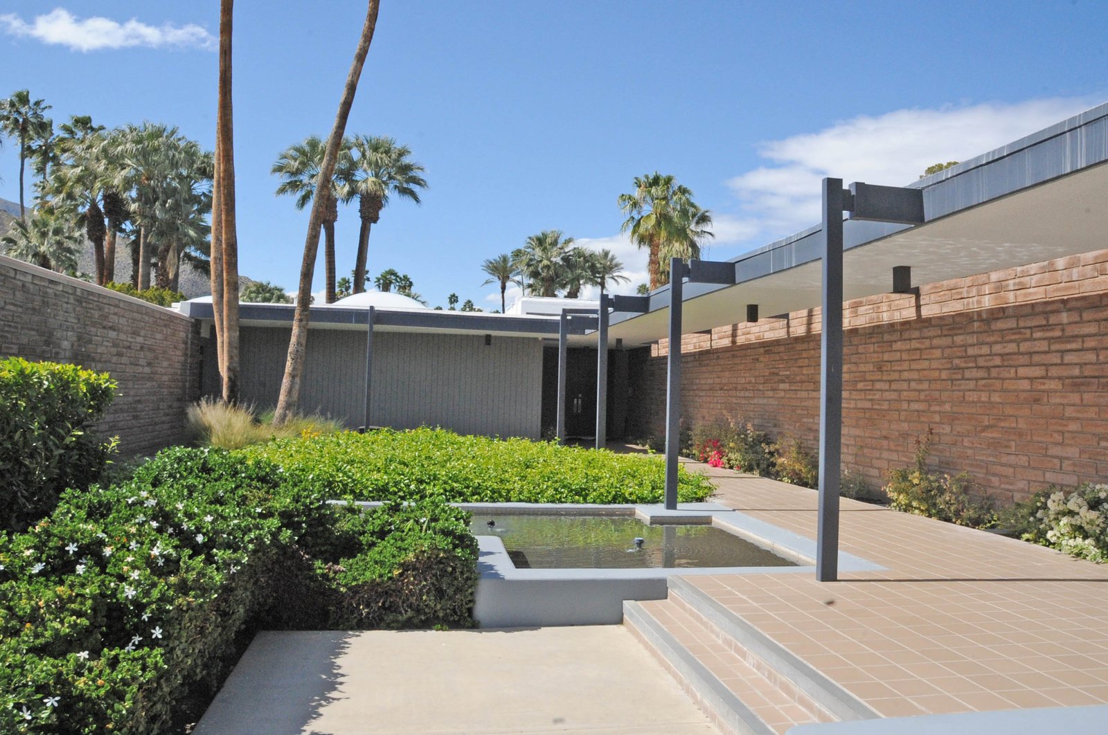 Desert landscaping with palms, boulders and a pool beside a modern house