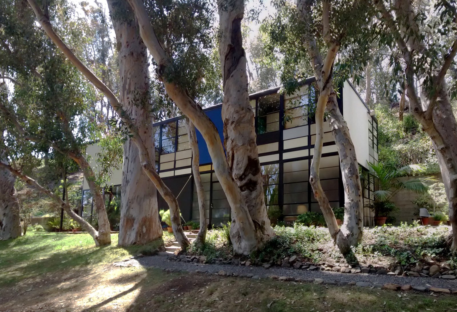 The Eames House in Pacific Palisades, its steel frame and glass walls among eucalyptus trees