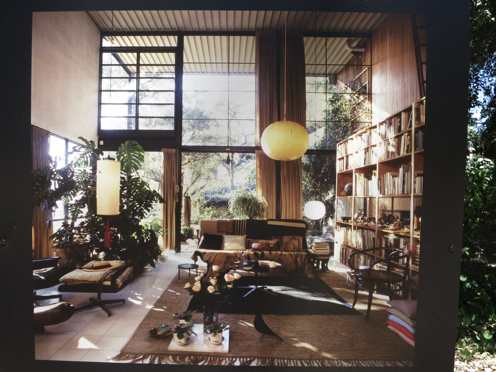 An open-plan living room with a low sofa, timber ceiling and glass wall