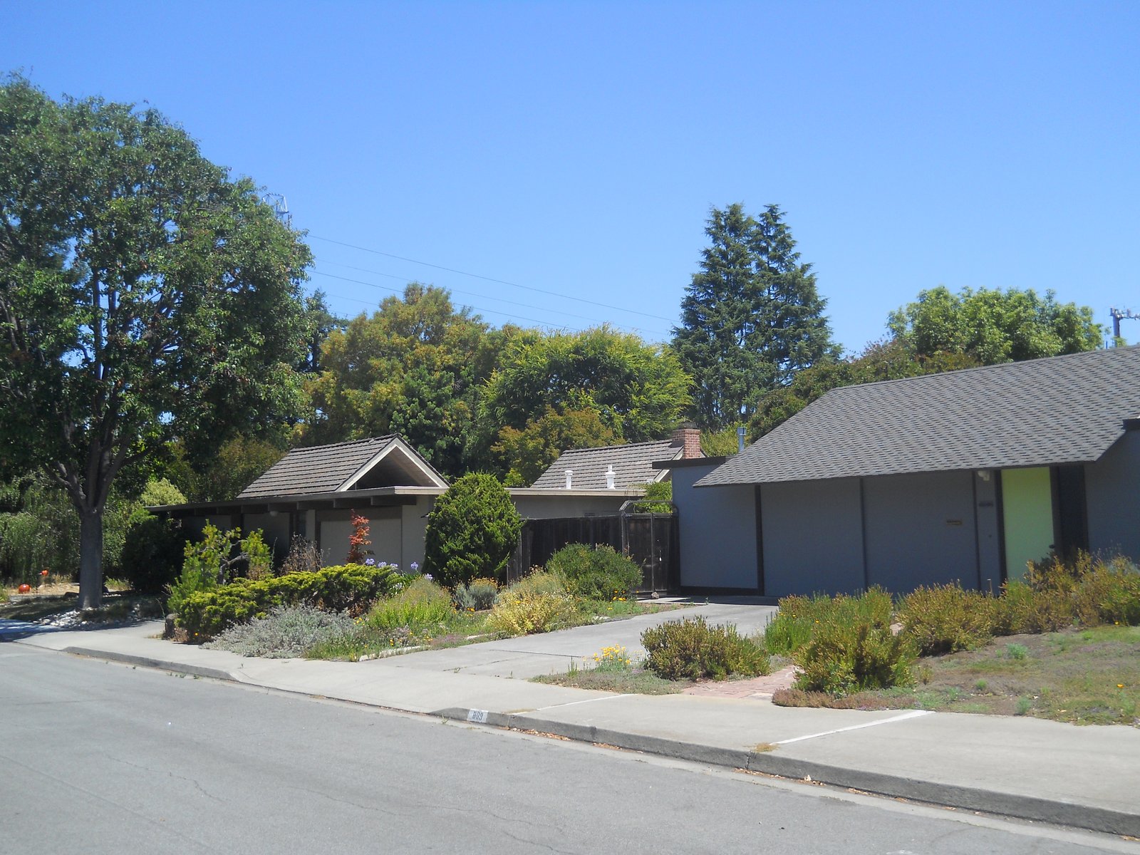 An Eichler tract seen from above, rows of flat-roofed houses on curving streets