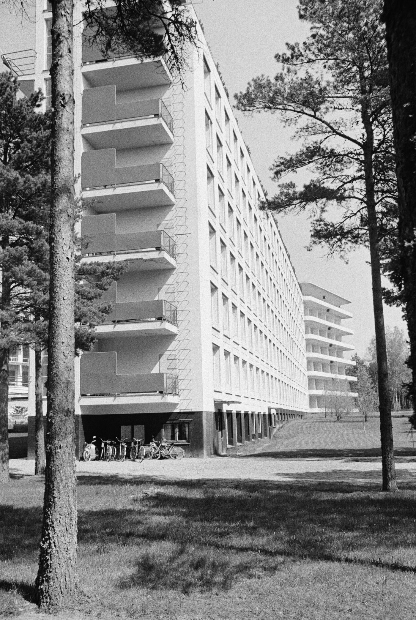 The Paimio Sanatorium in 1961: the long white patient wing with its sun balconies among pines
