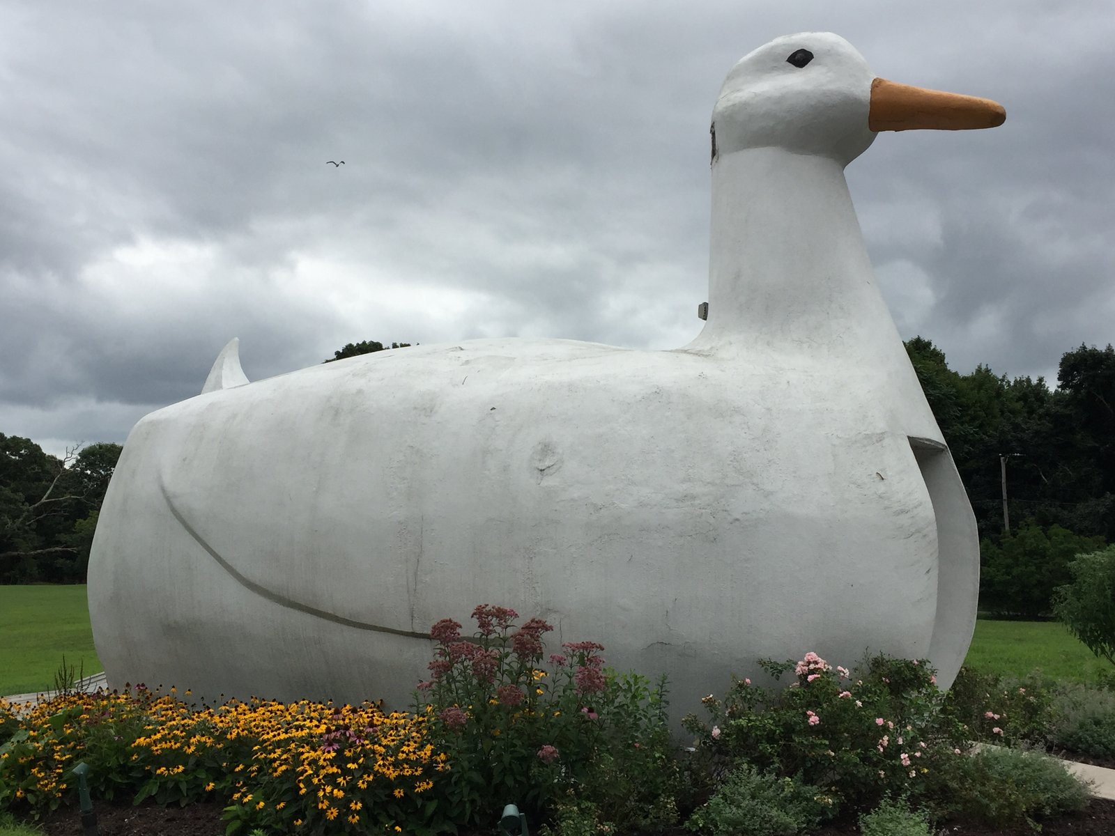 The Big Duck on Long Island, a giant white duck-shaped building standing in a flower bed under a cloudy sky.