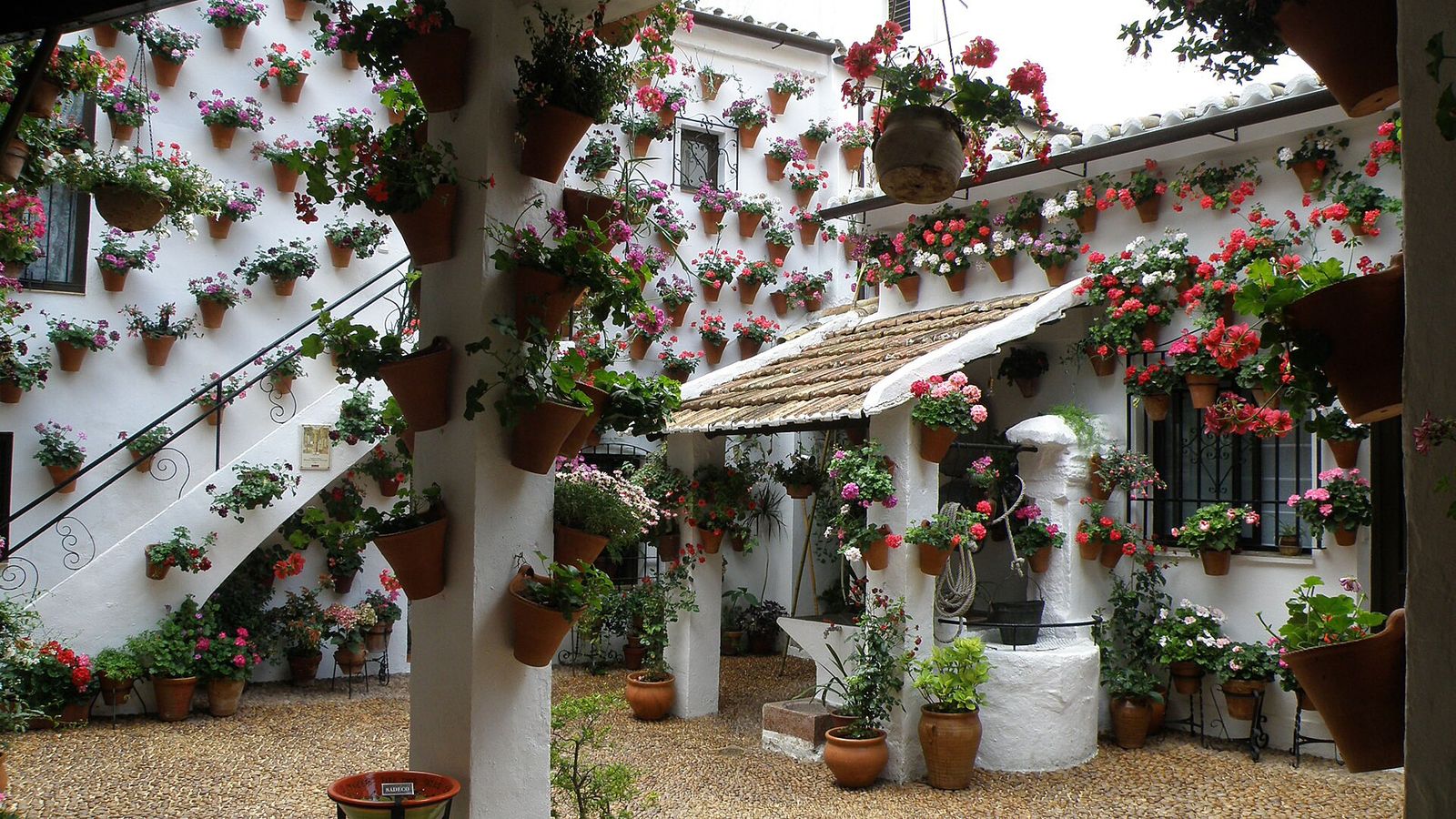 A Córdoba patio at festival time, its white walls covered with flower pots