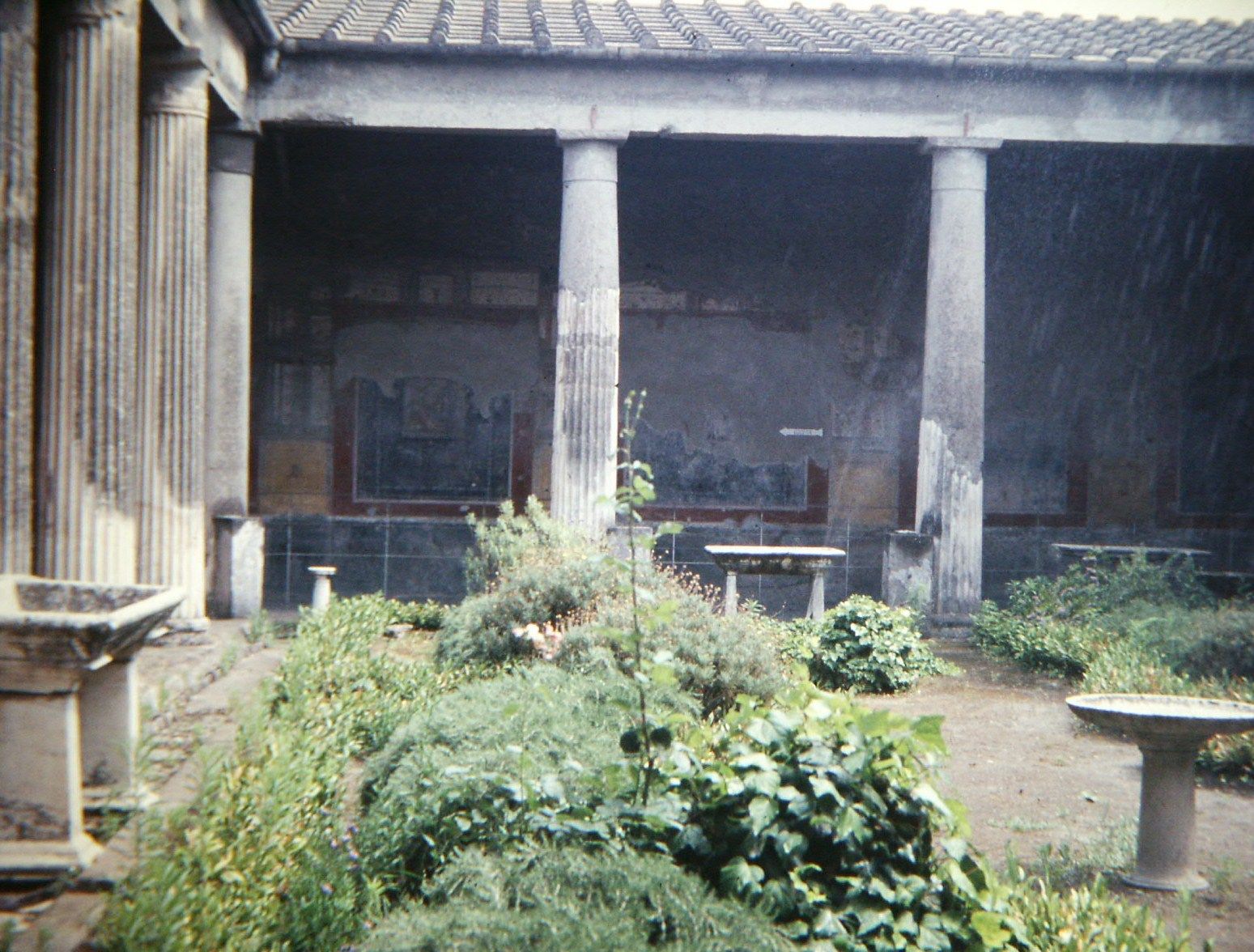 The peristyle garden of the House of the Vettii at Pompeii, with its colonnade and planting
