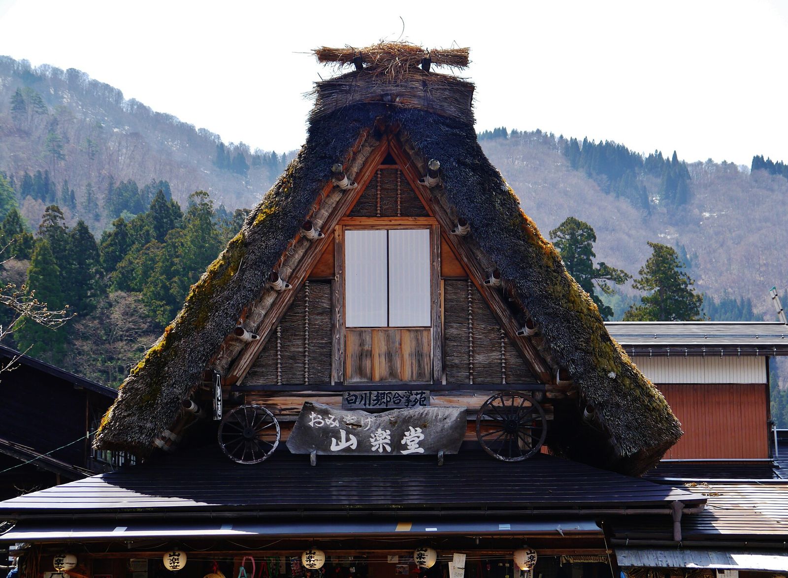 The steep thatched roof of a gasshō-zukuri farmhouse at Shirakawa-go