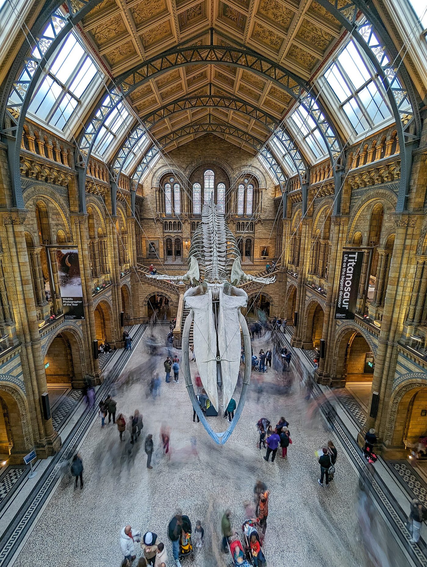 Hintze Hall at the Natural History Museum: the blue whale skeleton beneath Waterhouse's terracotta vaults and arcades