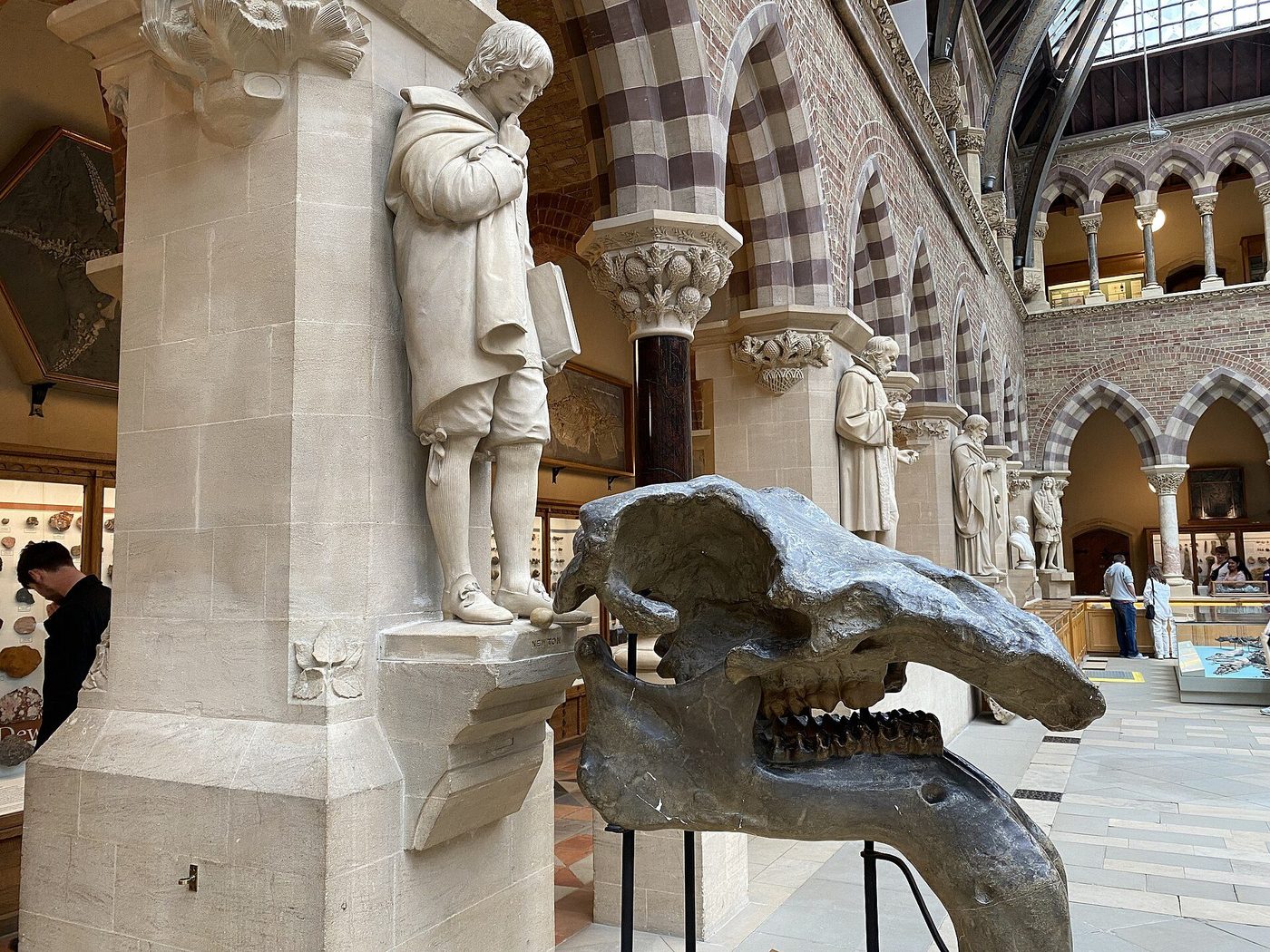 The court of the Oxford University Museum: carved stone capitals, statues of scientists and a dinosaur jaw beneath the iron-and-glass roof
