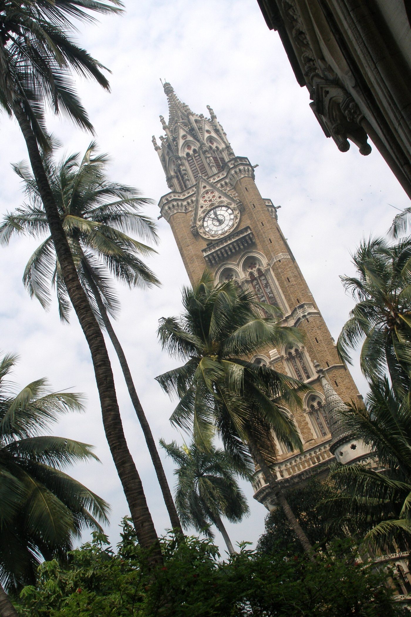 The Rajabai Clock Tower rising through the palms at the University of Mumbai