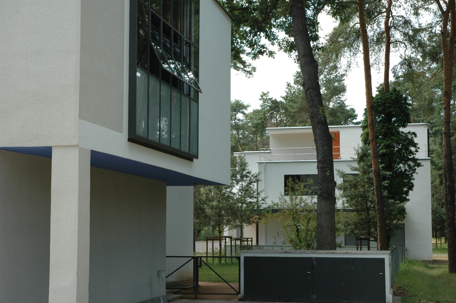 The Masters' Houses in Dessau, white cubic houses among pine trees